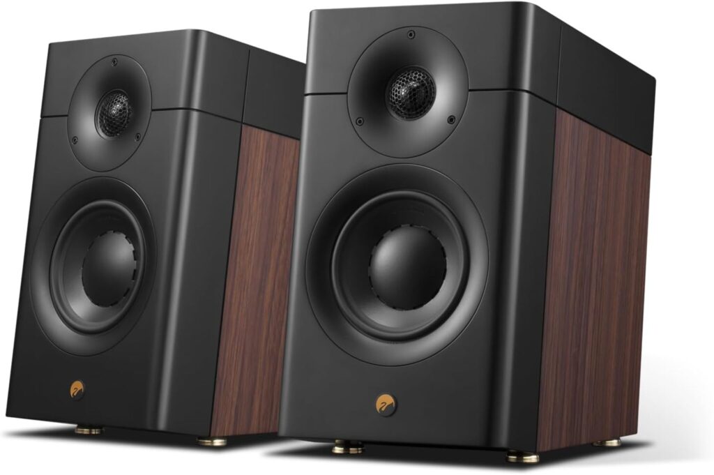 HiVi-Swans D3.1 MKII Review bookshelf speakers audiophile sound